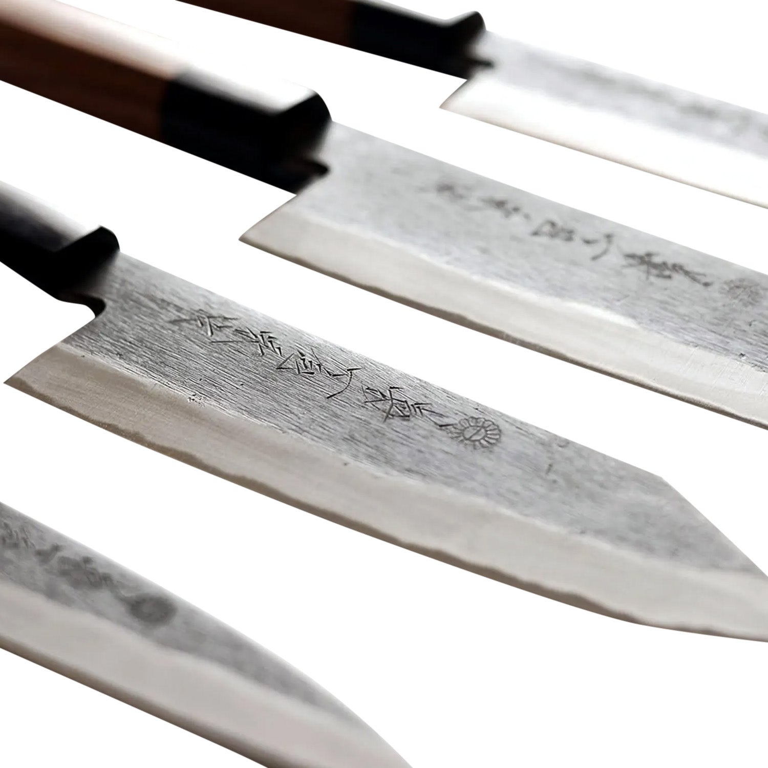 Kikuichi Kurouchi Santoku 180 mm Detail